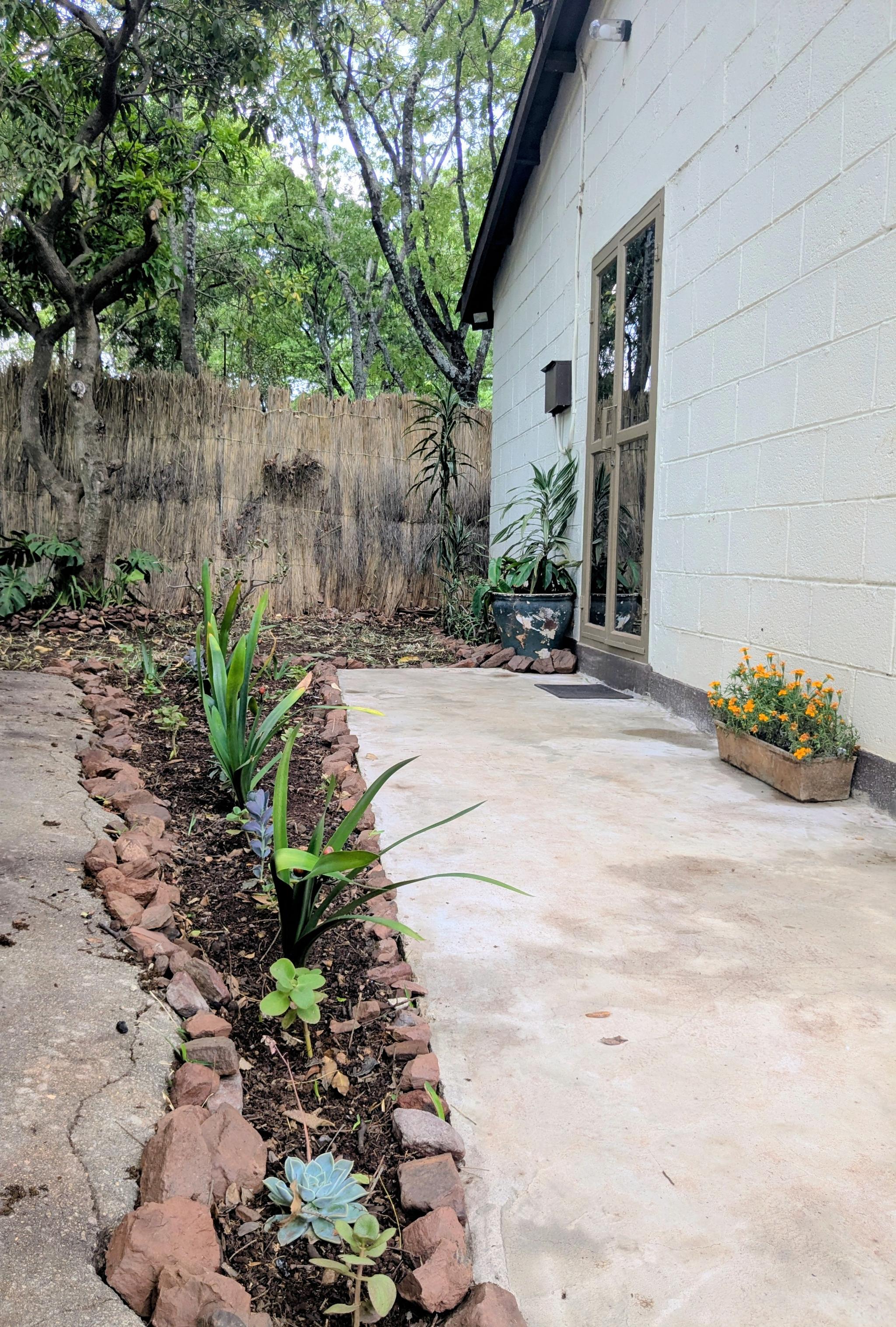 Oasis 23